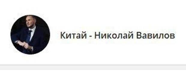 Николай Вавилов Китайская Власть Купить