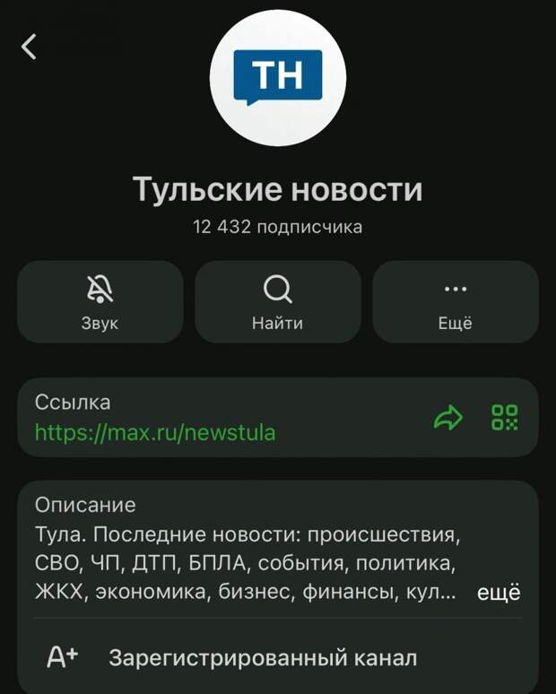 «Тульские новости» в MAX первым получил регистрацию в регионе
