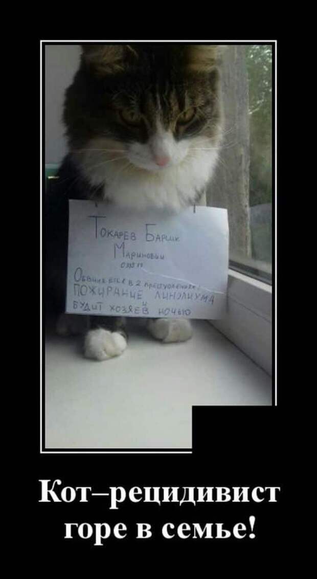 demotivatory-demotivator-smeshnye-demotivatory-demotivator-so-smyslom