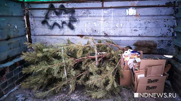 5000 новогодних елок увезла «Спецавтобаза» на переработку