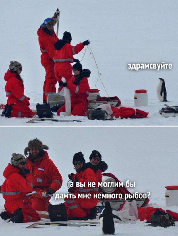 От игривых котиков, которые обладают невероятной способностью вызывать улыбку и умиление, до неожиданных и смешных ситуаций, случающихся в повседневной жизни, наша подборка предлагает вам неподдельное наслаждение от увлекательного просмотра. Безусловно, вы уловите элементы собственного опыта и узнаете себя или своих друзей во многих изображенных ситуациях, что придаст вам лишнюю долю веселых эмоций.