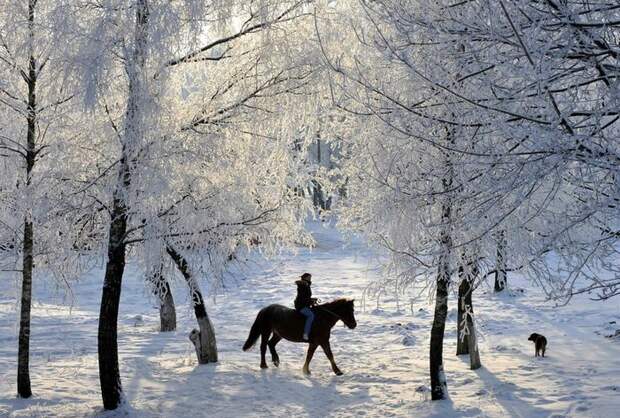 Зима у порога (23 фото) Зима у порога (23 фото)