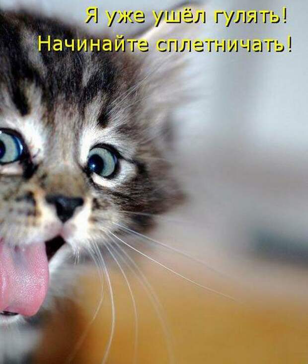 Мысли вслух :)