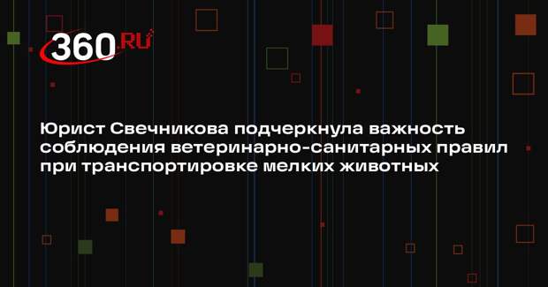 Юрист Свечникова подчеркнула важность соблюдения ветеринарно-санитарных правил при транспортировке мелких животных