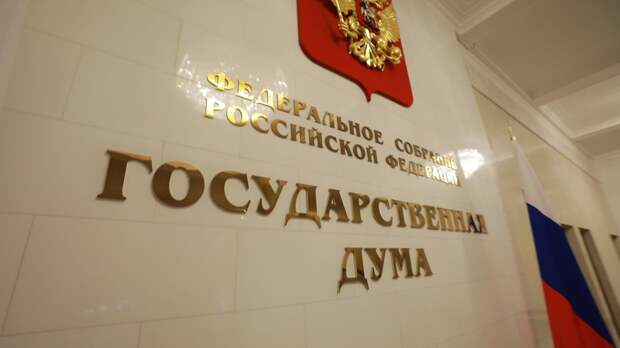 В ГД внесли законопроект, направленный на защиту прав инвалидов и граждан, которые их перевозят