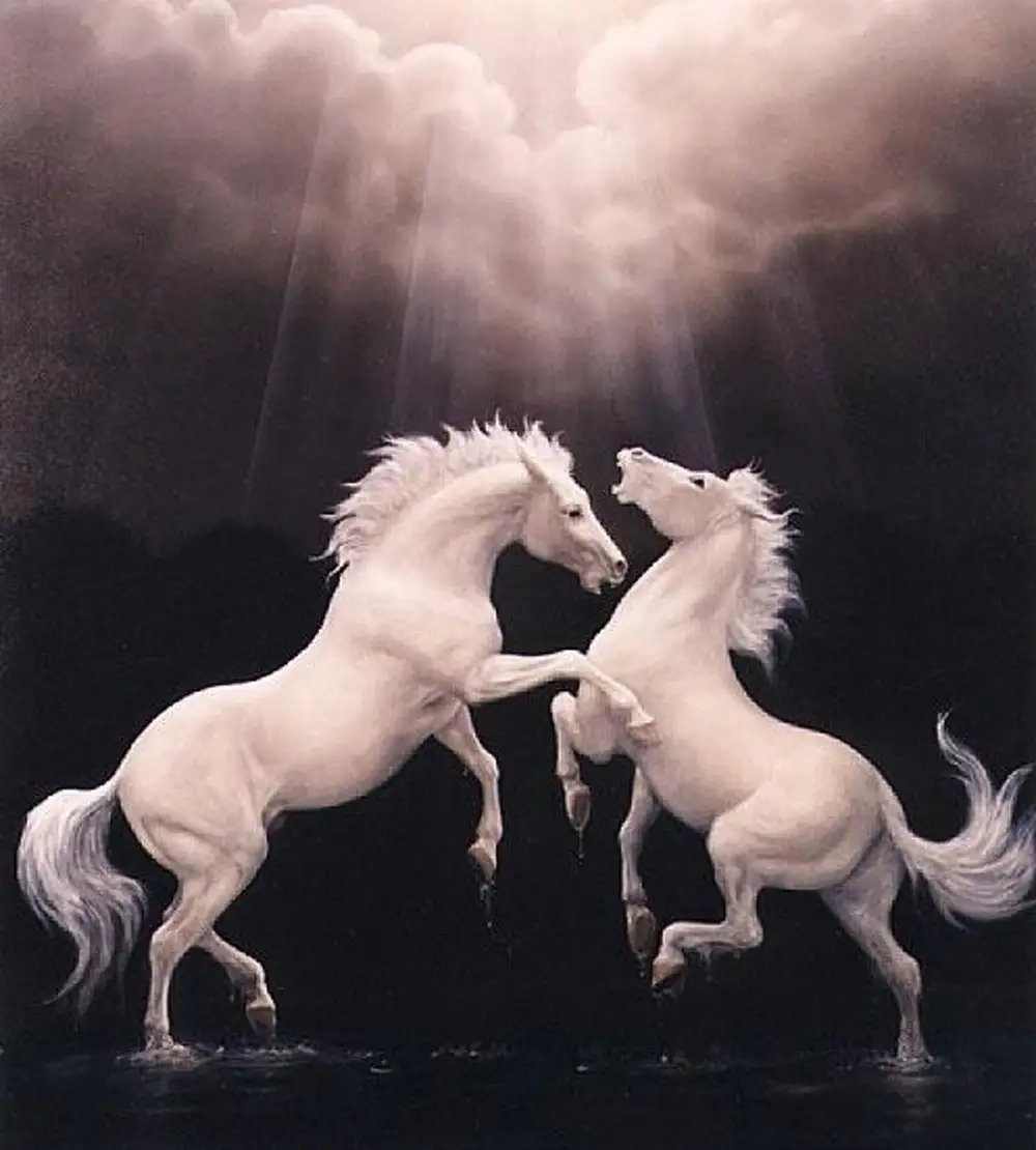 Белые кони старые. Две лошади. Белая лошадь. Любовь лошадей. Влюбленные лошади