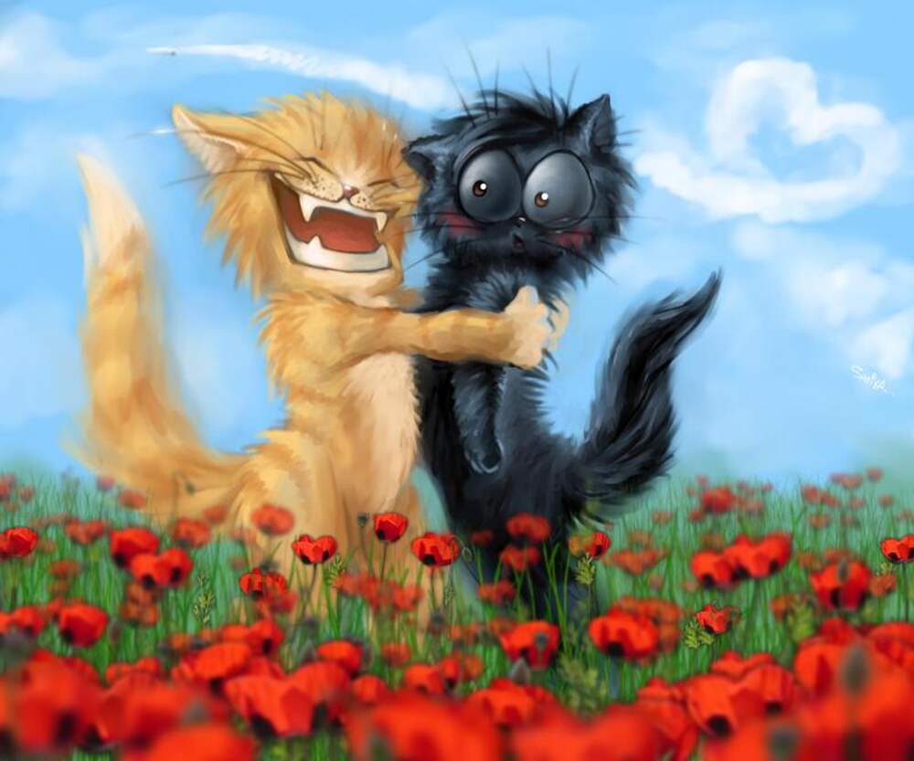 Чёрный кот и рыжая кошка любовь