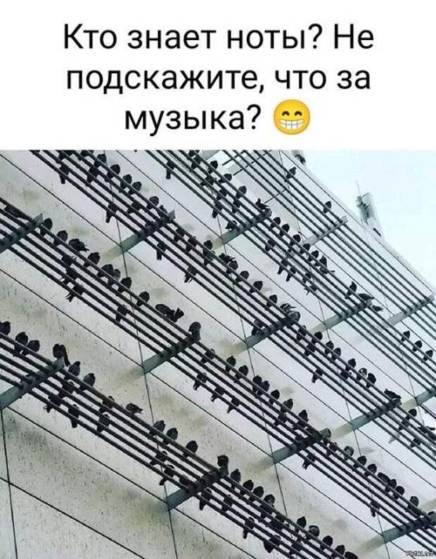 Угарные свежие картинки с надписями (четверг)