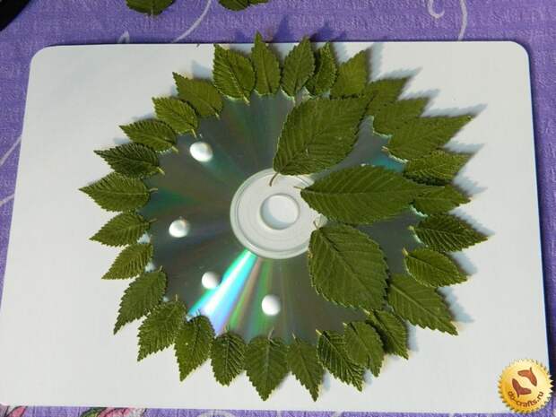 Panno-iz-suhih-listev-na-cd-diske 4