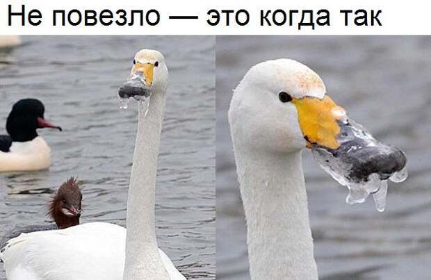 Эмоциональные картинки с надписями со смыслом (11 фото) Эмоциональные картинки с надписями со смыслом (11 фото)