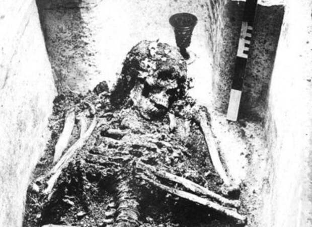 Фото останков Ивана Грозного, на котором хорошо видны зубы