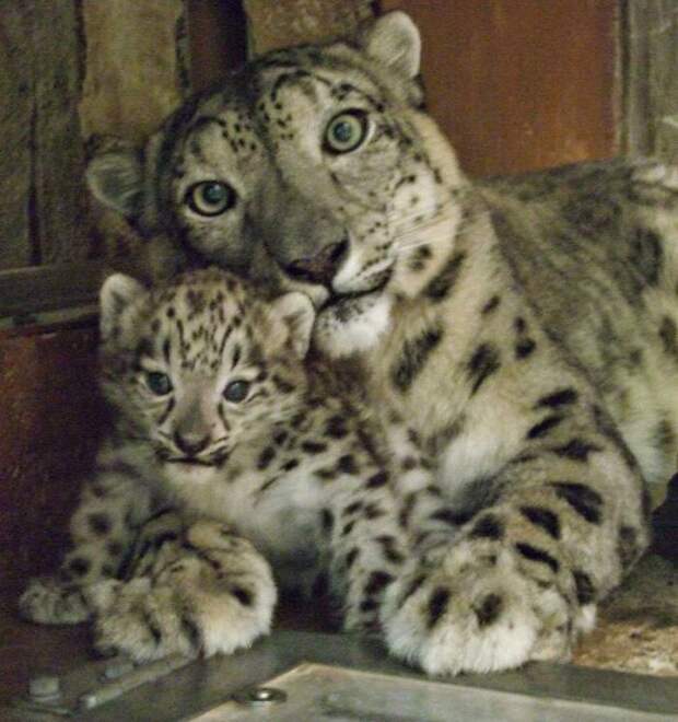 Больше, чем просто фотография. (44 фото)