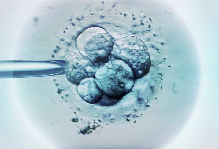 Scientists grow human embryo in a lab without sperm, egg or womb