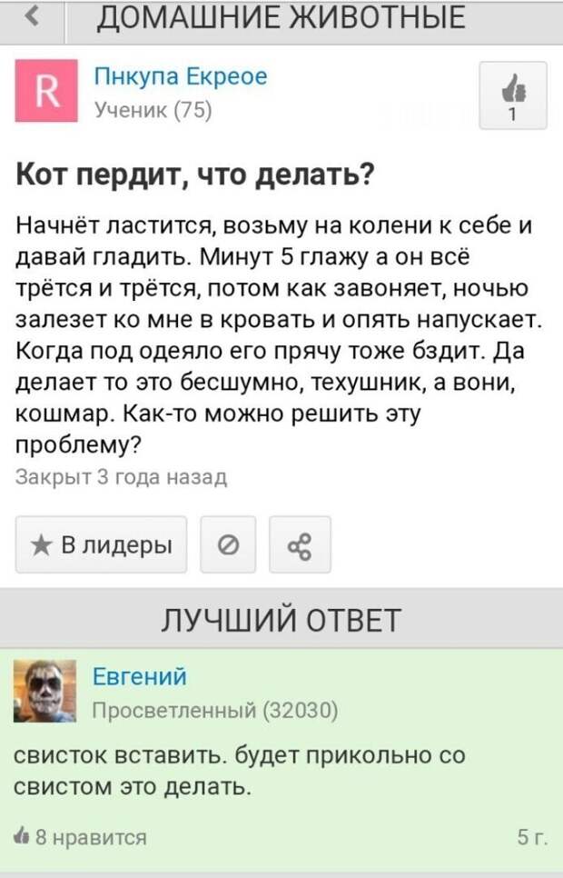 Зачем ходить с котом к ветеринару, если есть форумы? Зачем ходить с котом к ветеринару, если есть форумы?