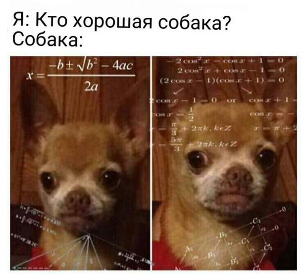 62dHBrO_AY4