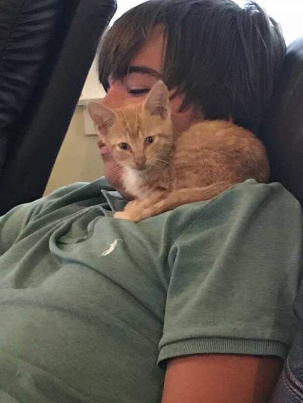 В Южной Каролине семья спасла котенка, который из последних сил цеплялся за опору моста