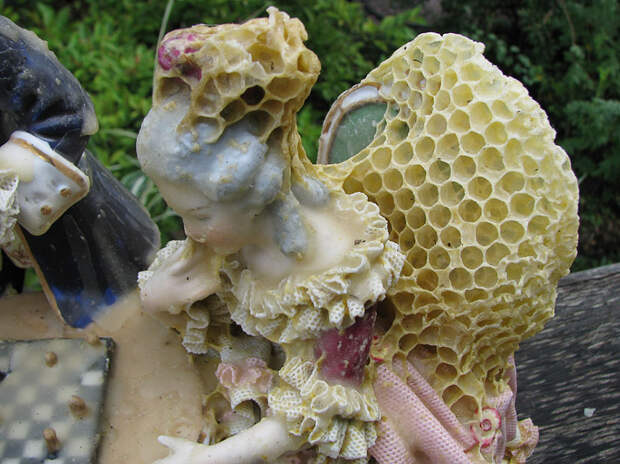 honeycomb-bee-art-sculpture-aganetha-dyck-8