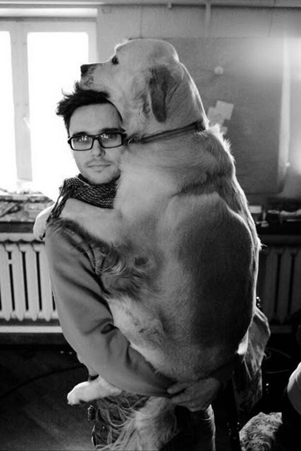 This dog who just wants to cuddle.