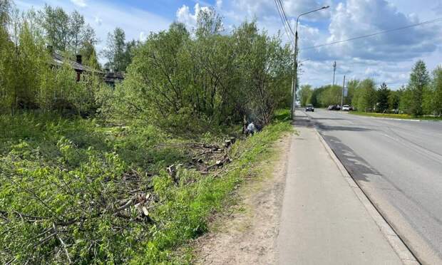 Просадку дорожного покрытия на улице Ленина в Архангельске устранят по гарантии