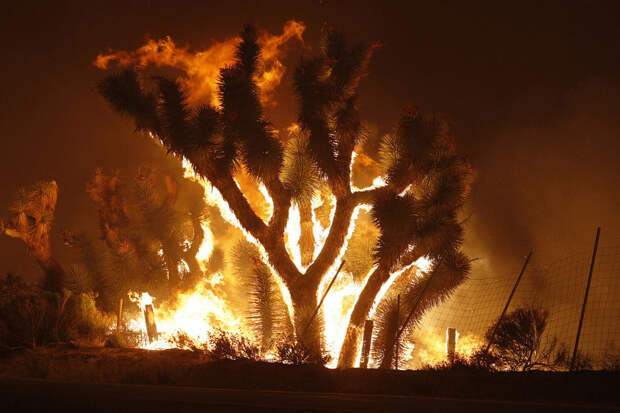Ужасная красота пожаров в Калифорнии: 20 фото, которые невозможно забыть