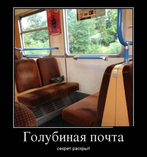 1477595083_08