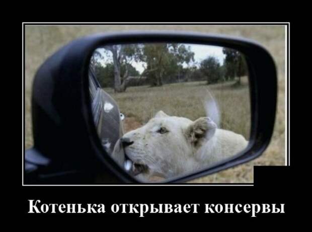 Демотиватор про консервы