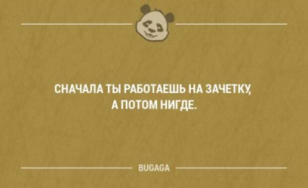 Прикольные фразы и забавные мысли. Часть 74 (16 шт)