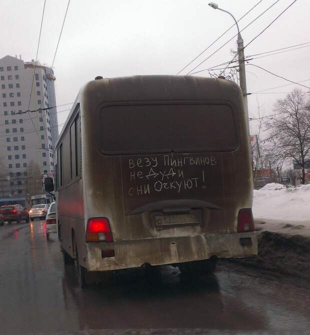 Прикольные надписи и объявления