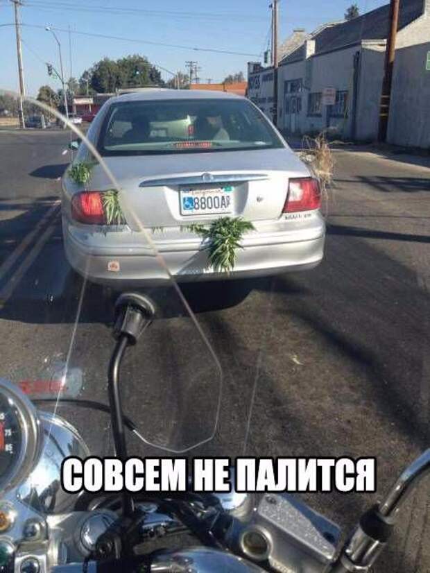 Подборка автоприколов (18 фото)