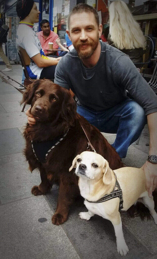 https://sobakibalabaki.com/wp-content/uploads/2017/09/love-for-dogs-tom-hardy-3-59bf69722f754__700-620x1024.jpg