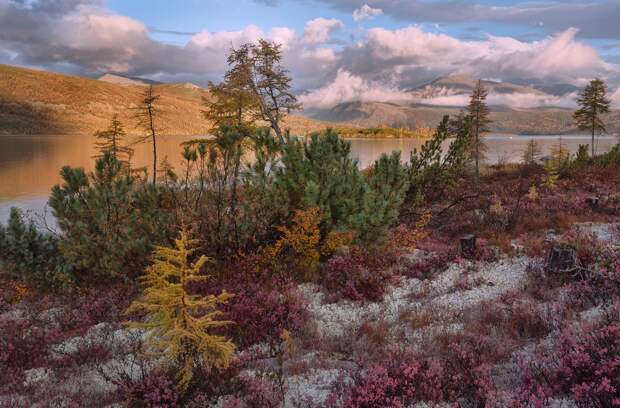 Осенняя Колыма, туманы Приморья, озёра и горы в пейзажных фотографиях Тони Андреевой 4