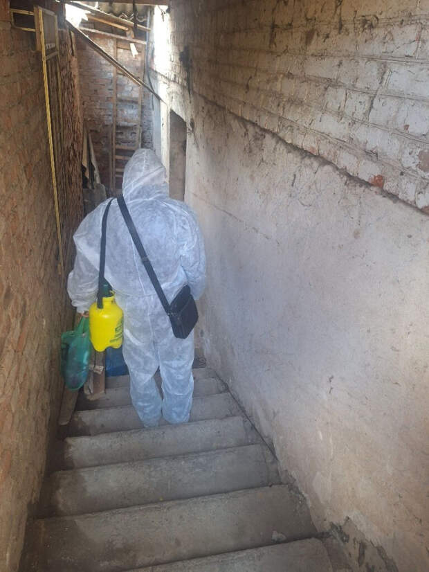 В областном центре ГУК начала обрабатывать подвалы домов от насекомых
