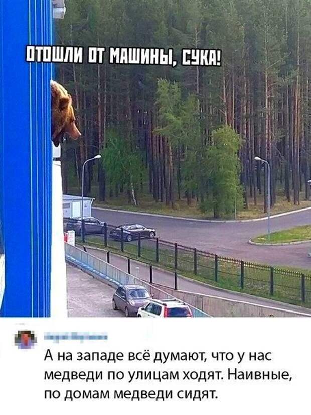 Картинки с надписями и анекдоты