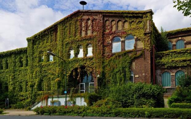 Озеленение старого здания. | Фото: propertytimes.com.ua