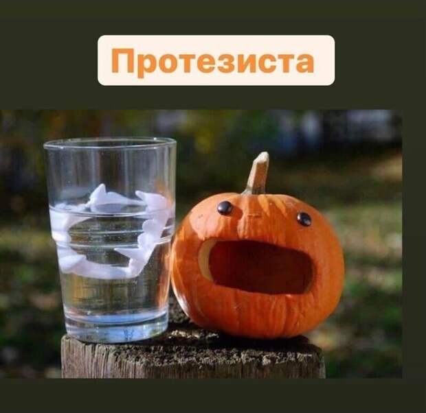 Шамая шладкая Шамая шладкая
