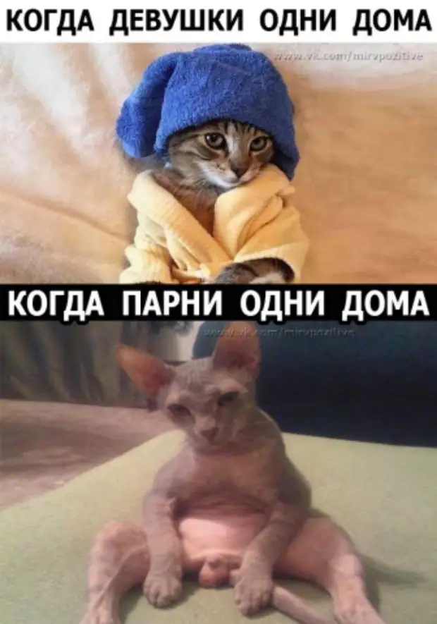 Даже черные полосы моей жизни сделаны из шоколада! Даже черные полосы моей жизни сделаны из шоколада! говорит, Барин, работник, укоса, когда, знаешь, сейчас, Вместо, Семеновских, рублей, делает, Скажите, кадров, сходи, отдел, Вроде, почему, упала, беспорядки, массовые