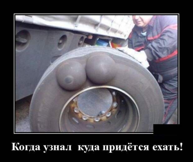 Демотиваторы, смотреть и поднимать настроение