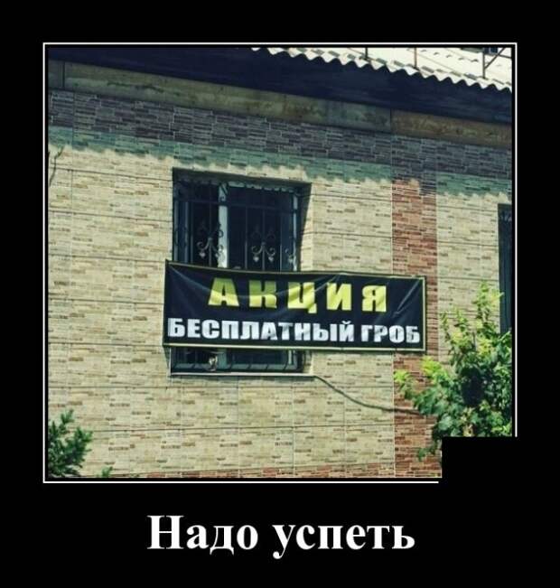 Демотиваторы