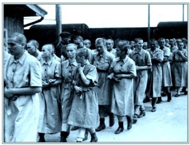 Освенцим-Биркенау. Отобранные на принудительный труд женщины подверглись дополнительному унижению – стрижке наголо