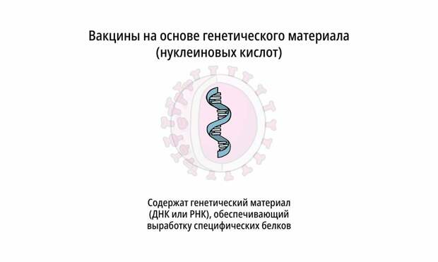 О вакцинах простым языком: 5 технологий производства