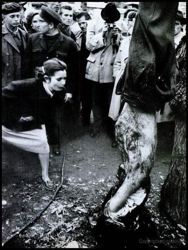 Картинки по запросу венгерское восстание 1956 фото
