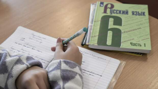 Минпросвещения подготовило проект по блокировке в сети готовых домашних заданий