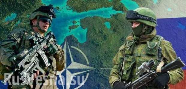 Превращение НАТО в бумажного тигра: европейцы не готовы защищать союзников, если русские нападут | Русская весна
