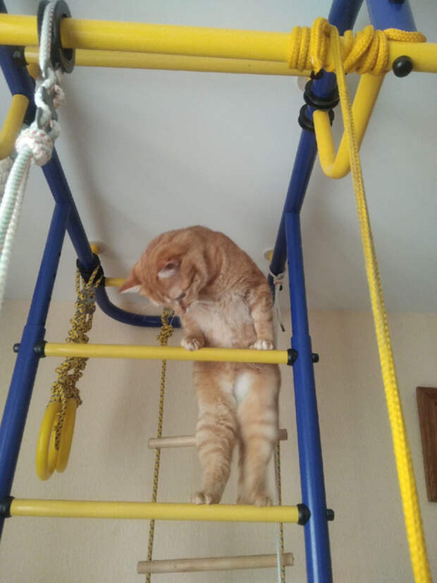 L667kxRFVUQ (525x700, 324Kb)