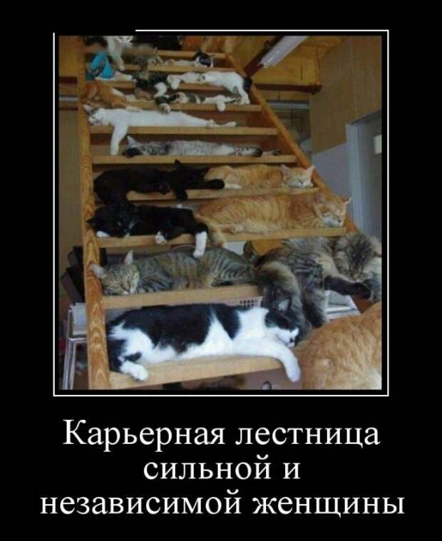 Демотиваторы (30 фото)