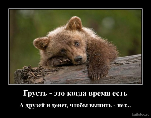 Весёлые демотиваторы (35 картинок)