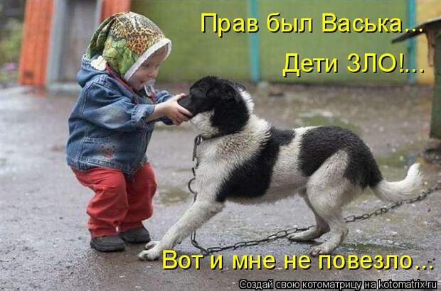 котоматрица дети (700x463, 64Kb)