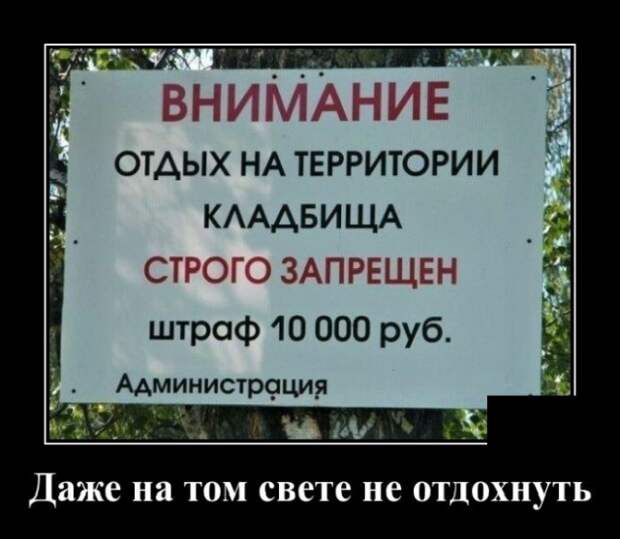 Демотиваторы 18 августа 2021