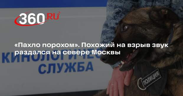 В Коптеве после звука взрыва во дворе нашли разорванные игрушки