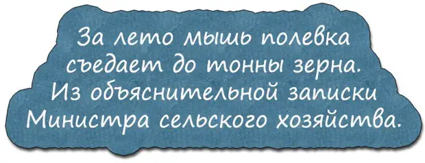 Есть у нас препод молодой, так его жена из дома выгнала...